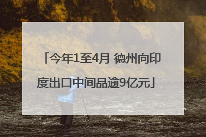 今年1至4月 德州向印度出口中间品逾9亿元