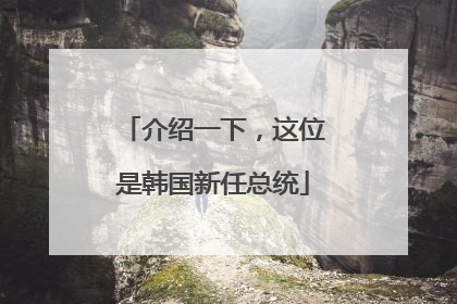 介绍一下，这位是韩国新任总统