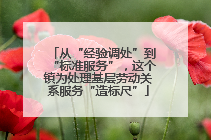 从“经验调处”到“标准服务”，这个镇为处理基层劳动关系服务“造标尺”