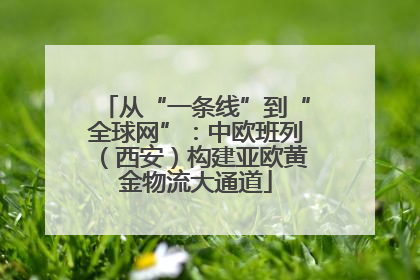 从“一条线”到“全球网”：中欧班列（西安）构建亚欧黄金物流大通道