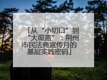 从“小切口”到“大覆盖”：荆州市民法典宣传月的基层实践密码