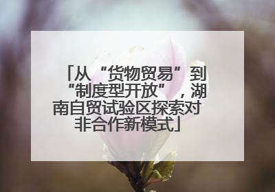 从“货物贸易”到“制度型开放”，湖南自贸试验区探索对非合作新模式