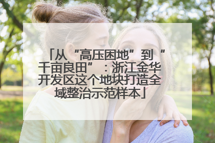 从“高压困地”到“千亩良田”：浙江金华开发区这个地块打造全域整治示范样本