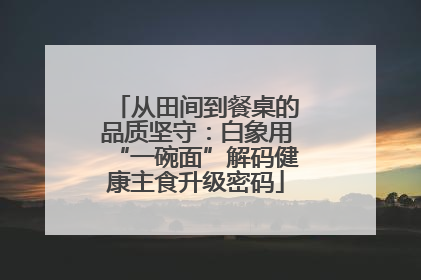 从田间到餐桌的品质坚守：白象用“一碗面”解码健康主食升级密码
