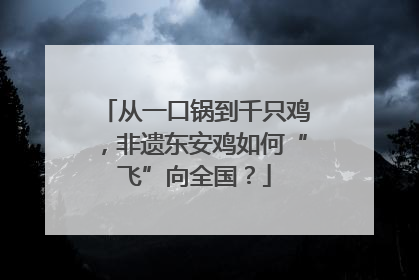 从一口锅到千只鸡，非遗东安鸡如何“飞”向全国？