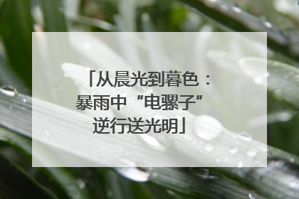 从晨光到暮色：暴雨中“电骡子”逆行送光明