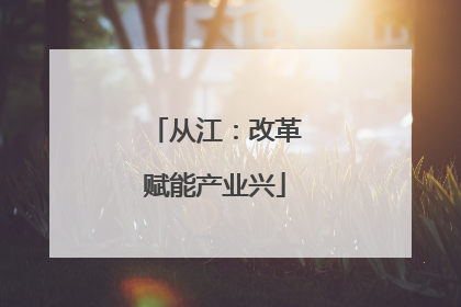 从江：改革赋能产业兴