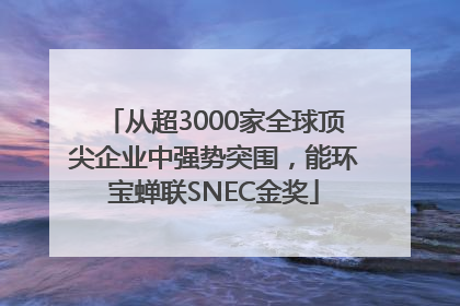 从超3000家全球顶尖企业中强势突围，能环宝蝉联SNEC金奖