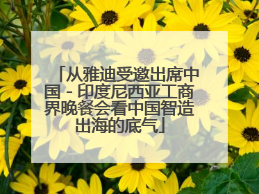 从雅迪受邀出席中国－印度尼西亚工商界晚餐会看中国智造出海的底气