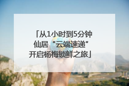 从1小时到5分钟 仙居“云端速递”开启杨梅锁鲜之旅