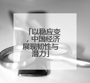 以稳应变，中国经济展现韧性与潜力