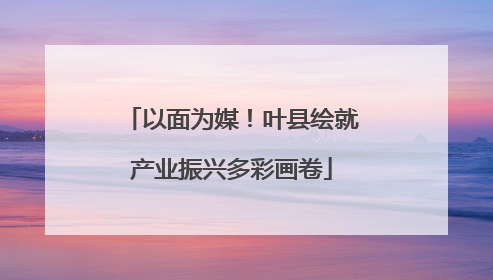 以面为媒！叶县绘就产业振兴多彩画卷