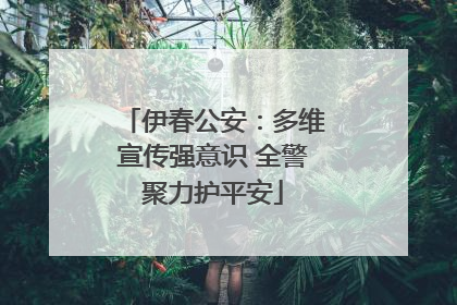 伊春公安：多维宣传强意识 全警聚力护平安