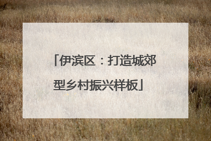 伊滨区：打造城郊型乡村振兴样板