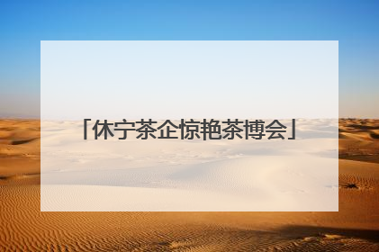 休宁茶企惊艳茶博会