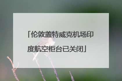 伦敦盖特威克机场印度航空柜台已关闭
