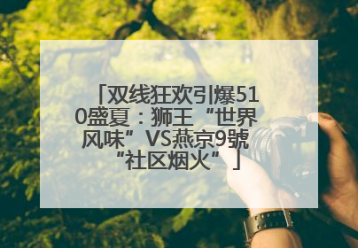 双线狂欢引爆510盛夏：狮王“世界风味”VS燕京9號“社区烟火”