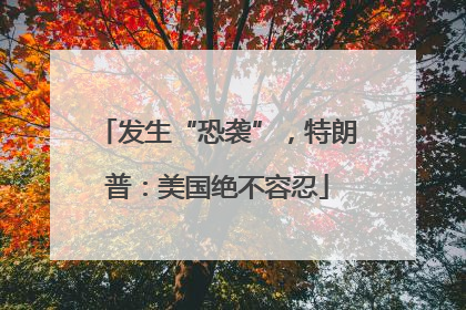 发生“恐袭”，特朗普：美国绝不容忍