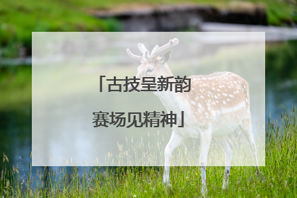 古技呈新韵 赛场见精神