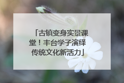 古镇变身实景课堂！丰台学子演绎传统文化新活力