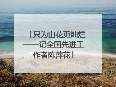 只为山花更灿烂——记全国先进工作者陈萍花