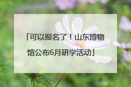 可以报名了！山东博物馆公布6月研学活动