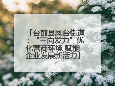 台前县凤台街道：“三向发力”优化营商环境 赋能企业发展新活力