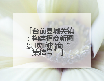 台前县城关镇：构建招商新图景 吹响招商“集结号”