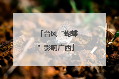 台风“蝴蝶”影响广西