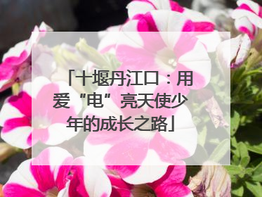 十堰丹江口：用爱“电”亮天使少年的成长之路