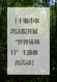十堰市张湾法院开展“世界环境日”主题教育活动