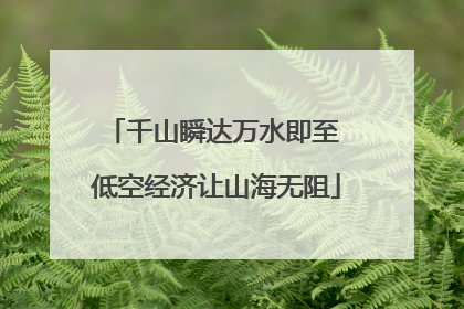 千山瞬达万水即至 低空经济让山海无阻