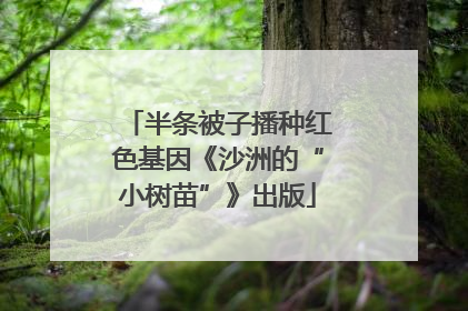 半条被子播种红色基因《沙洲的“小树苗”》出版