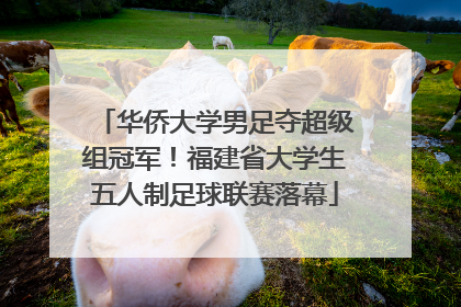 华侨大学男足夺超级组冠军！福建省大学生五人制足球联赛落幕