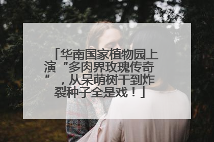 华南国家植物园上演“多肉界玫瑰传奇”，从呆萌树干到炸裂种子全是戏！