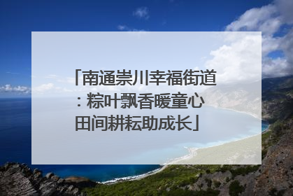 南通崇川幸福街道：粽叶飘香暖童心 田间耕耘助成长