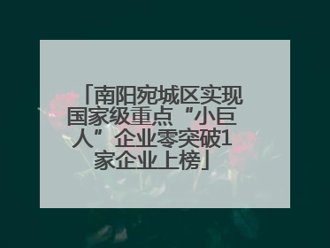 南阳宛城区实现国家级重点“小巨人”企业零突破1家企业上榜