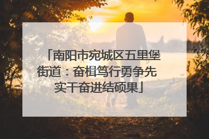 南阳市宛城区五里堡街道：奋楫笃行勇争先 实干奋进结硕果