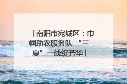 南阳市宛城区：巾帼助农服务队 “三夏”一线绽芳华