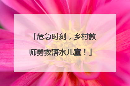 危急时刻，乡村教师勇救落水儿童！