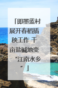 即墨蓝村展开春稻插秧工作 千亩盐碱地变“江南水乡”