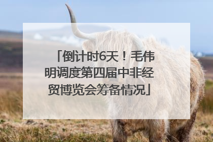 倒计时6天！毛伟明调度第四届中非经贸博览会筹备情况