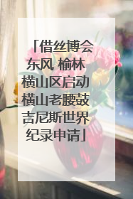 借丝博会东风 榆林横山区启动横山老腰鼓吉尼斯世界纪录申请