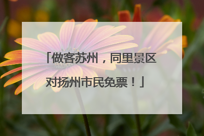 做客苏州，同里景区对扬州市民免票！
