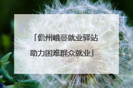 儋州峨蔓就业驿站助力困难群众就业