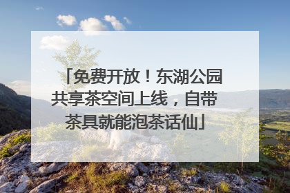 免费开放！东湖公园共享茶空间上线，自带茶具就能泡茶话仙