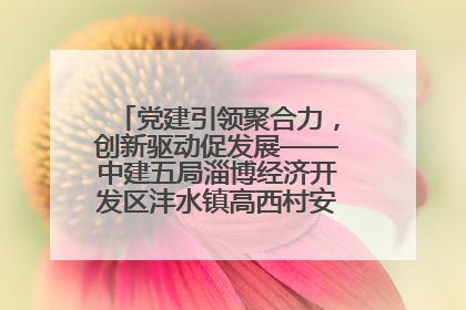 党建引领聚合力，创新驱动促发展——中建五局淄博经济开发区沣水镇高西村安置项目建设纪实
