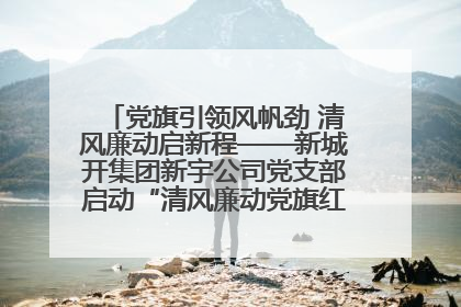 党旗引领风帆劲 清风廉动启新程——新城开集团新宇公司党支部启动“清风廉动党旗红”系列活动