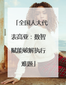 全国人大代表高亚：数智赋能破解执行难题