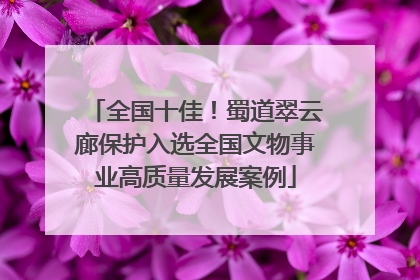 全国十佳！蜀道翠云廊保护入选全国文物事业高质量发展案例